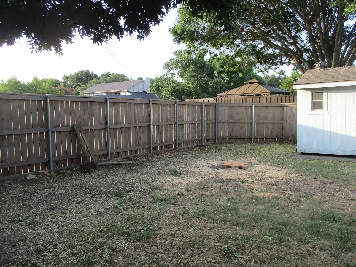 Cleared yard after professional tree removal in Tobaccoville
