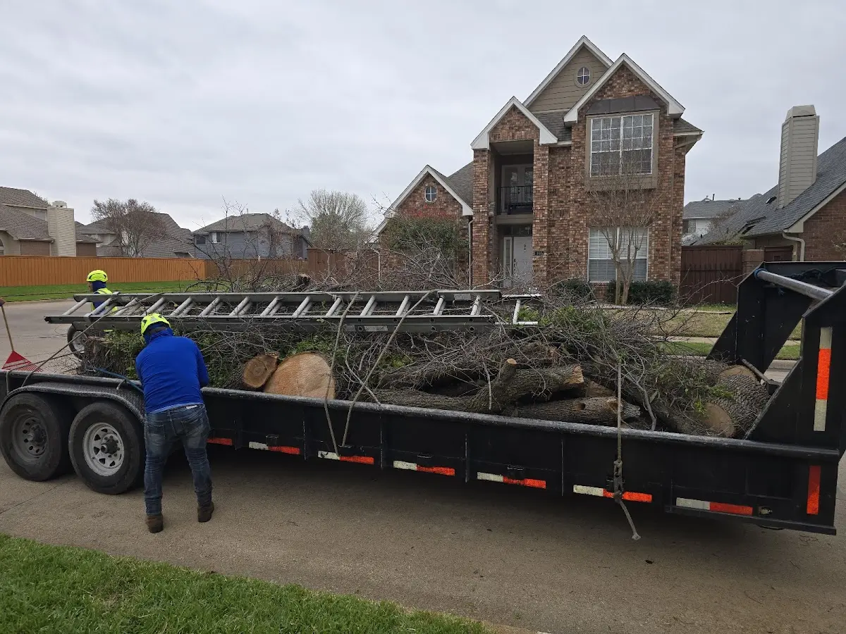 Expert Tree Removal with proper safety equipment in Tobaccoville